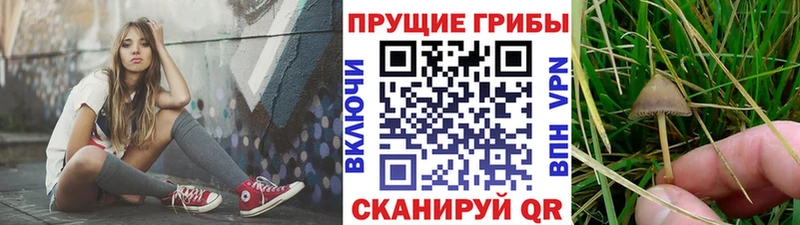 Псилоцибиновые грибы ЛСД  Хотьково 
